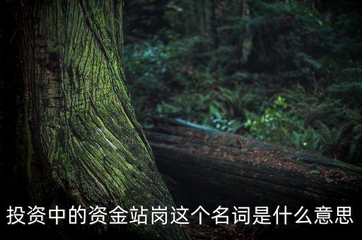 股票站崗什么意思，高位站崗啥意思