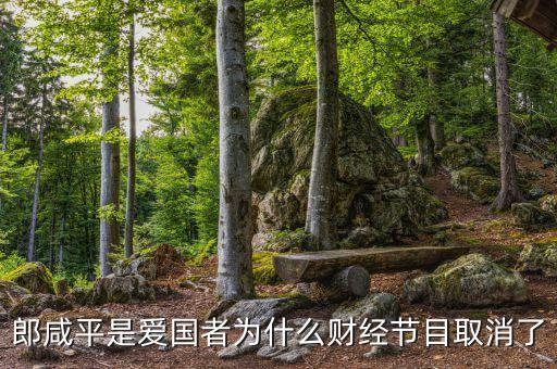 郎咸平是愛(ài)國(guó)者為什么財(cái)經(jīng)節(jié)目取消了