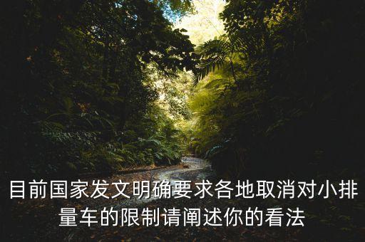 目前國家發(fā)文明確要求各地取消對(duì)小排量車的限制請(qǐng)闡述你的看法