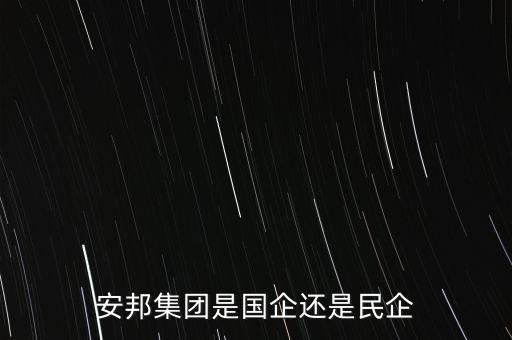 安邦集團(tuán)是國企還是民企