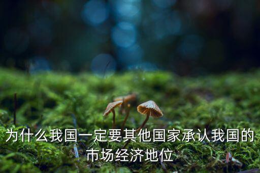 中國經濟地位為什么重要，國有經濟的地位和作用是怎樣的