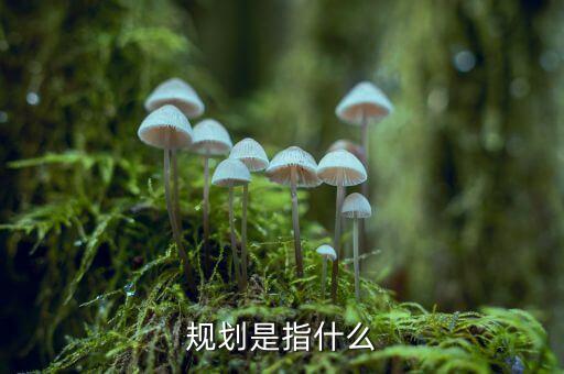 減量規(guī)劃是什么，規(guī)劃是指什么