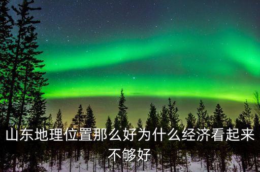 為什么質(zhì)疑山東經(jīng)濟，圖表反映出山東省經(jīng)濟結(jié)構(gòu)中存在什么問題