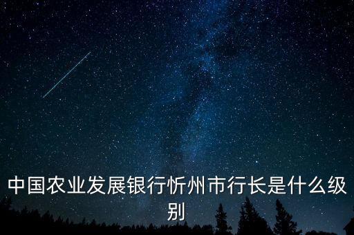 中國(guó)農(nóng)業(yè)發(fā)展銀行忻州市行長(zhǎng)是什么級(jí)別