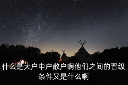 什么是大戶中戶散戶啊他們之間的晉級條件又是什么啊