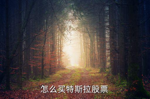 特斯拉板塊是什么意思，特斯拉概念是什么意思