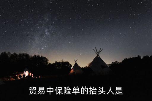 貿(mào)易中保險單的抬頭人是