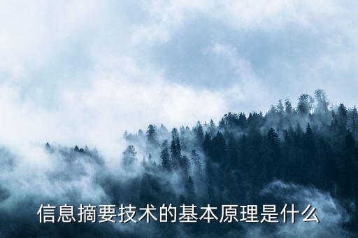 什么是電子摘要技術，加密技術和什么是電子商務和電子政務安全常用的技術