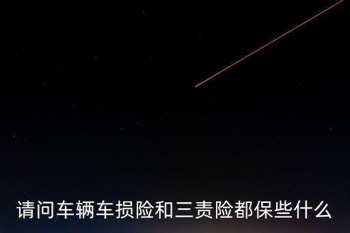 請問車輛車損險和三責(zé)險都保些什么