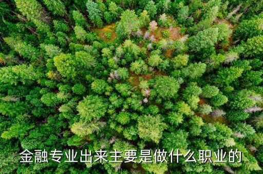 金融專業(yè)出來主要是做什么職業(yè)的