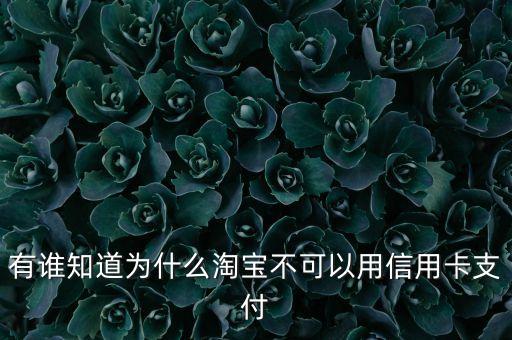 有誰知道為什么淘寶不可以用信用卡支付