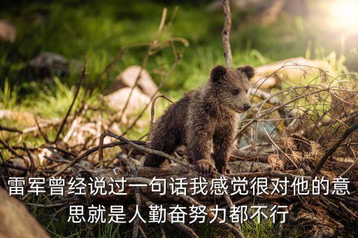 雷軍曾經(jīng)說過一句話我感覺很對(duì)他的意思就是人勤奮努力都不行