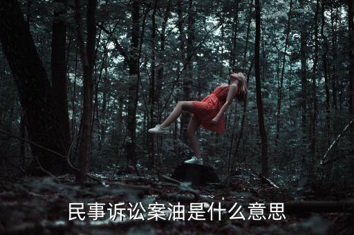 民事訴訟案油是什么意思