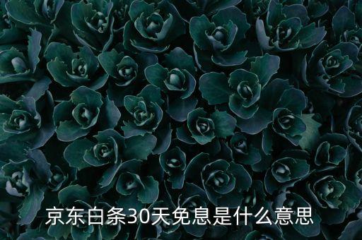 京東30天免息什么意思，京東商城網(wǎng)上買鞋子有增值保障是什么意思有什么30天免息又是17