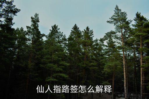 仙人來指路是什么意思，仙人指路簽怎么解釋
