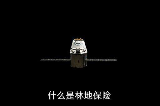 什么是林地保險(xiǎn)
