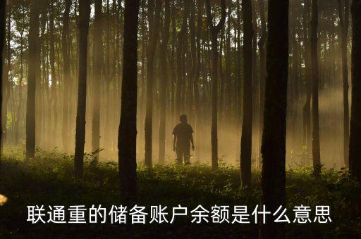 儲備余額是什么意思，我國歷年外匯儲備余額是什么意思