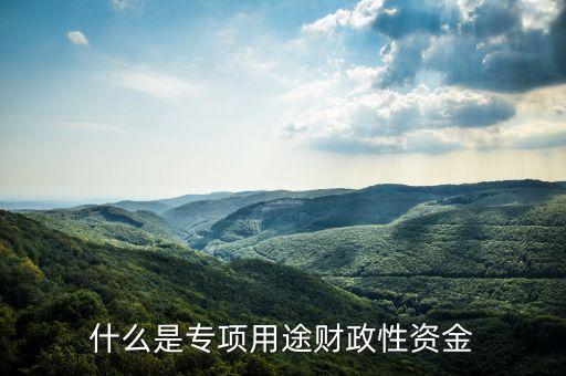 什么是專項(xiàng)用途財(cái)政性資金