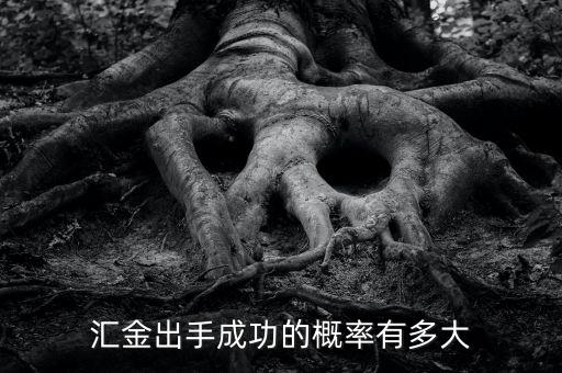 匯金什么時候增持，匯金出手成功的概率有多大