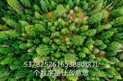 026869數(shù)字代表什么寓意，電話號碼各個數(shù)字表示的意義