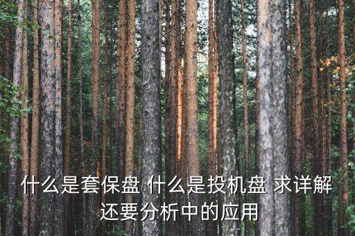 什么是套保盤 什么是投機(jī)盤 求詳解 還要分析中的應(yīng)用