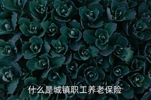 什么是城鎮(zhèn)職工，什么是城鎮(zhèn)職工農(nóng)民工二者的區(qū)別是什么