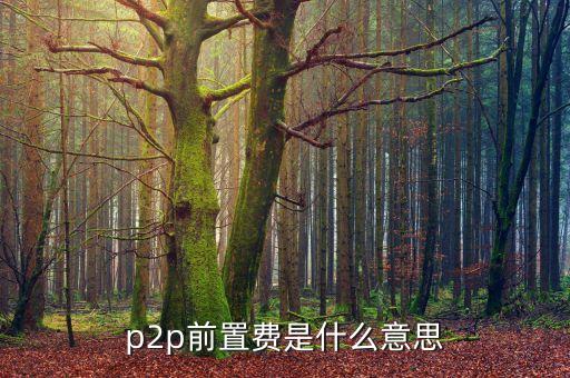 p2p前置費是什么意思