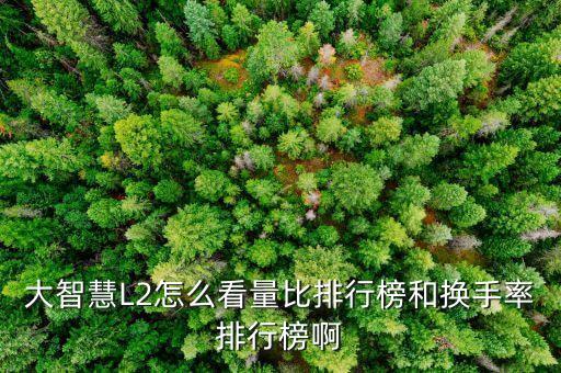 確信買入是什么意思，港股評級確信買入名單 是什么意思