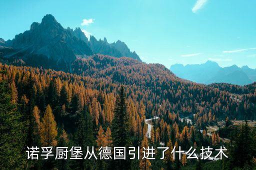 諾孚廚堡從德國(guó)引進(jìn)了什么技術(shù)