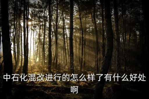 中石化為什么要改革，國家為什么對天然氣價格進行改革