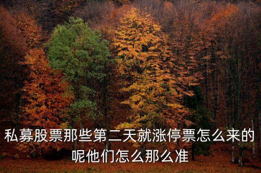 私募股票那些第二天就漲停票怎么來的呢他們怎么那么準