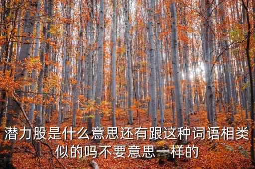 潛力股是什么意思還有跟這種詞語(yǔ)相類似的嗎不要意思一樣的