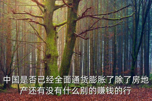 中國(guó)現(xiàn)在沒什么賺錢的，中國(guó)是否已經(jīng)全面通貨膨脹了除了房地產(chǎn)還有沒有什么別的賺錢的行