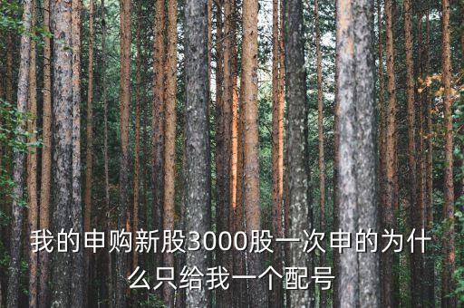 我的申購(gòu)新股3000股一次申的為什么只給我一個(gè)配號(hào)
