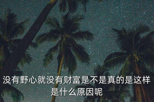沒(méi)有野心就沒(méi)有財(cái)富是不是真的是這樣是什么原因呢