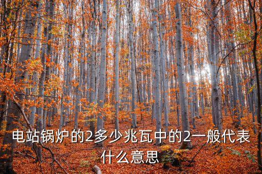 電站兆瓦什么意思，兆瓦是哪一個物理量的單位發(fā)電能力達(dá)45兆瓦說明什么意思