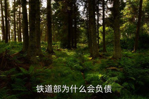 鐵道部為什么會(huì)負(fù)債