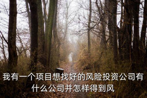 大學生找什么風投公司籌錢，想要融資怎么找風險投資公司