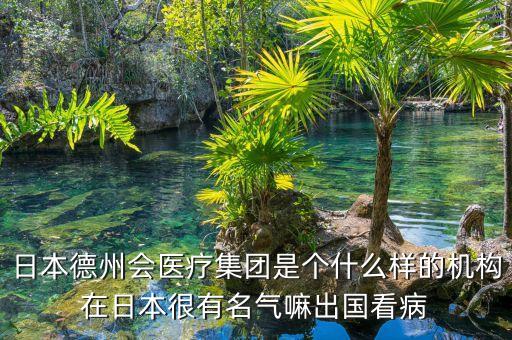 日本德州會(huì)醫(yī)療集團(tuán)是個(gè)什么樣的機(jī)構(gòu)在日本很有名氣嘛出國(guó)看病
