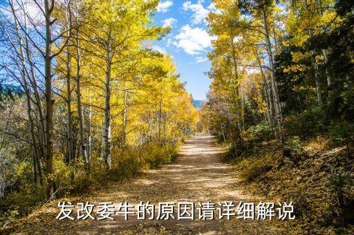 改革牛是什么意思，同志用語農(nóng)牛是啥意思