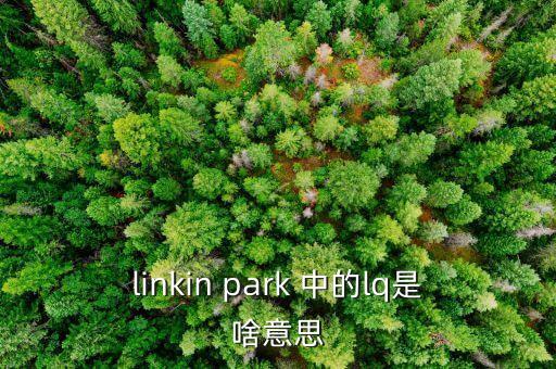 linkin park 中的lq是啥意思