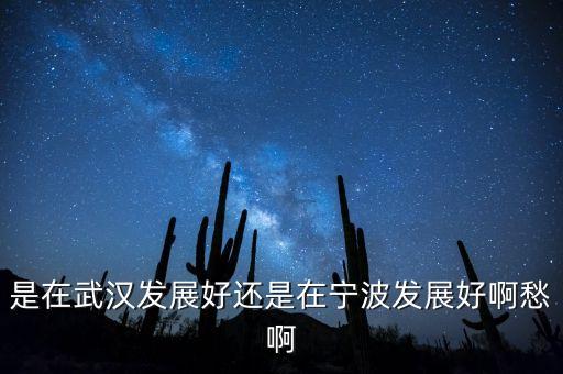 為什么說武漢經(jīng)濟沒寧波發(fā)達，是在武漢發(fā)展好還是在寧波發(fā)展好啊愁啊