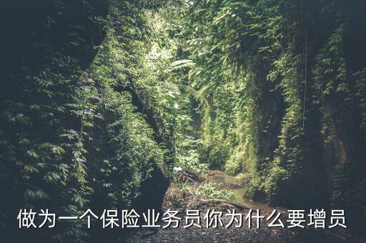 保險(xiǎn)為什么要增員，做為一個(gè)保險(xiǎn)業(yè)務(wù)員你為什么要增員
