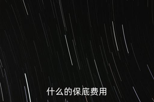 什么的保底費用