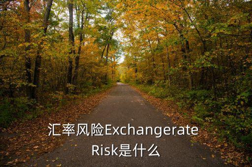 匯率風(fēng)險(xiǎn)屬于什么，匯率風(fēng)險(xiǎn)Exchangerate Risk是什么