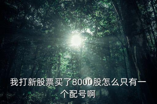 為什么只有一個配號，引力申購3000股為什么只有一個配號