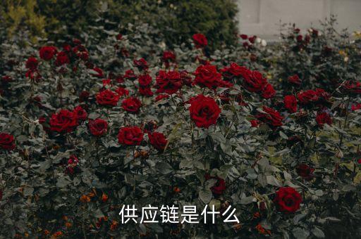 供應(yīng)鏈?zhǔn)鞘裁匆馑?，供?yīng)鏈?zhǔn)鞘裁?/></a></span><span id=