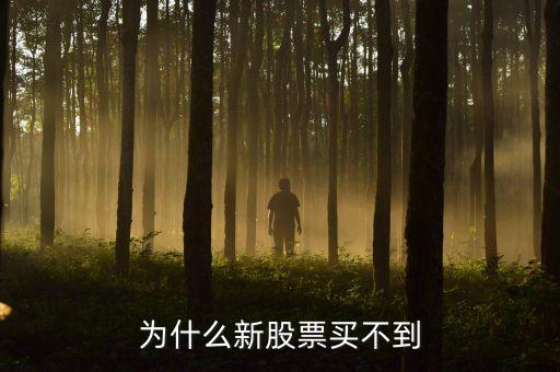 為什么打新股買不了，為何我申購(gòu)新股卻買不了