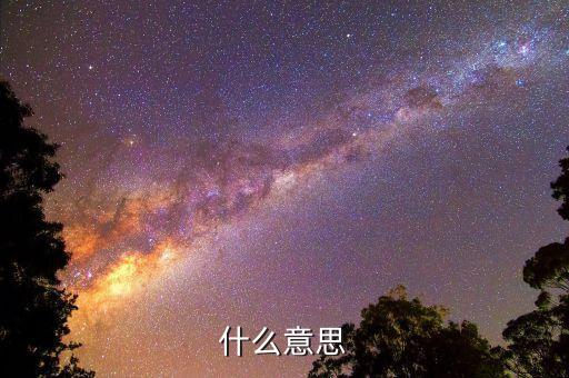 什么意思