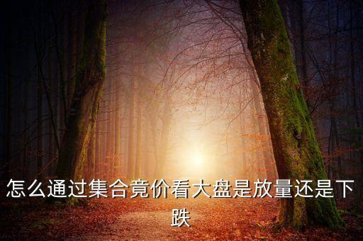 怎么通過(guò)集合竟價(jià)看大盤是放量還是下跌